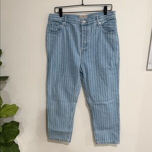 Everlane 90's Cheeky Straight Jean